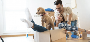 how to move with pets
